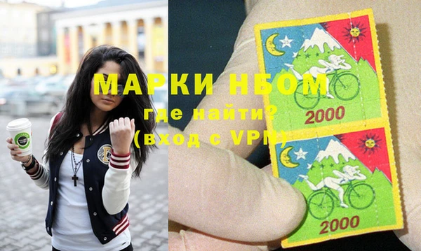 индика Алексин