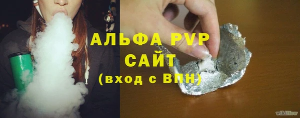 индика Алексин