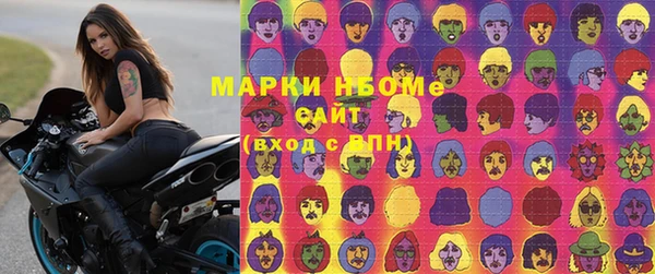 индика Алексин