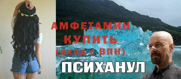 индика Алексин