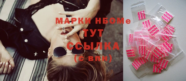 индика Алексин