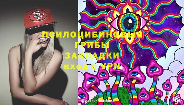индика Алексин